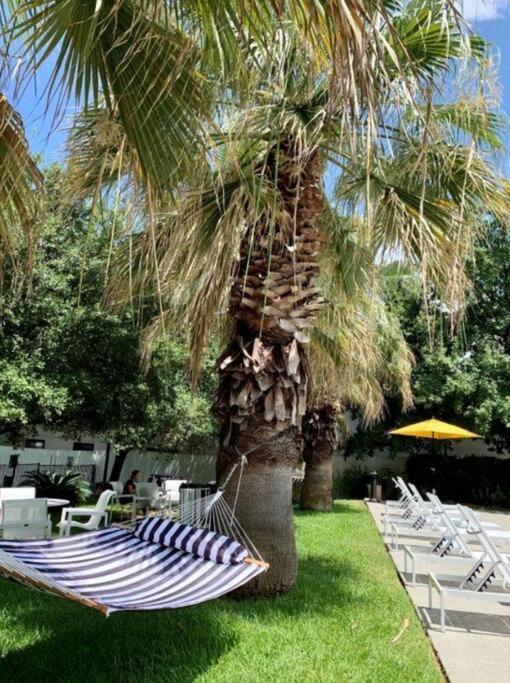 Soco Chic Apartment Suites Close To Downtown Όστιν Εξωτερικό φωτογραφία